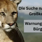 Hier ist der grammatikalisch überarbeitete Artikel auf Deutsch sowie ein attraktiver