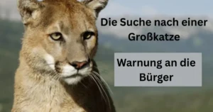 Hier ist der grammatikalisch überarbeitete Artikel auf Deutsch sowie ein attraktiver
