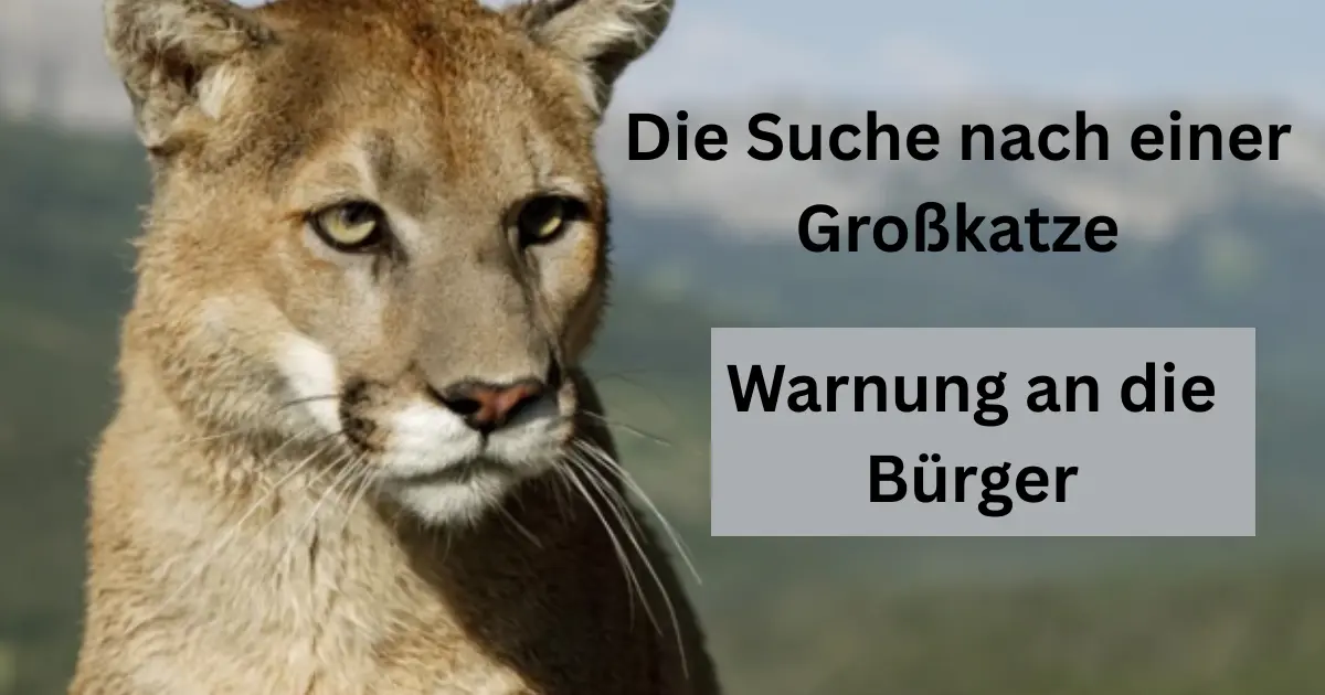 Hier ist der grammatikalisch überarbeitete Artikel auf Deutsch sowie ein attraktiver